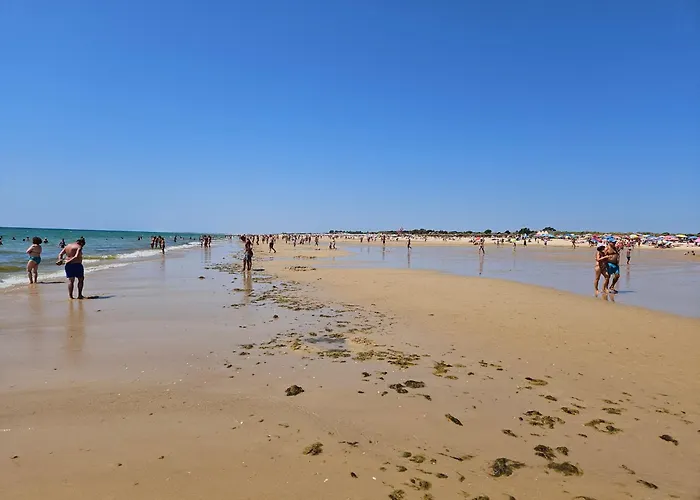 Semesterbostad Eltael - Miguel House - Warm Pool From April 2026- Facilities For Disabled Guests